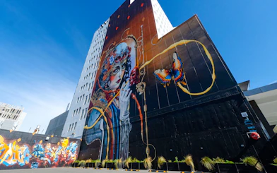 Street art mural featuring a woman and butterfly on a building in Christchurch.
