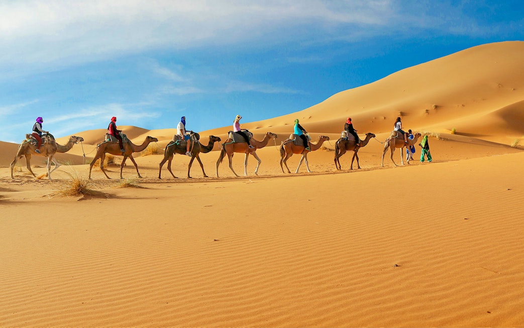 Camel caravan crossing sand dunes in Dubai desert safari.