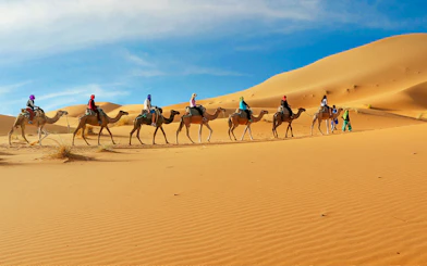 Camel caravan crossing sand dunes in Dubai desert safari.