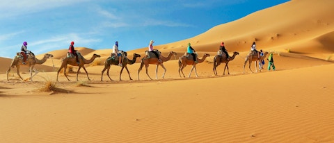 Camels, Sandboarding, and Campfires: Try Unforgettable Desert Safari in Dubai Camels, Sandboarding, and Campfires: Try Unforgettable Desert Safari in Dubai