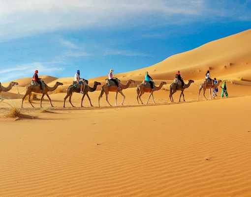 Camel caravan crossing sand dunes in Dubai desert safari.