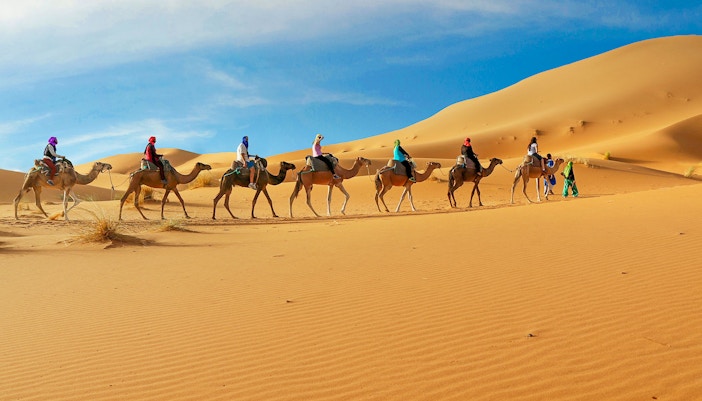 Camel caravan crossing sand dunes in Dubai desert safari.