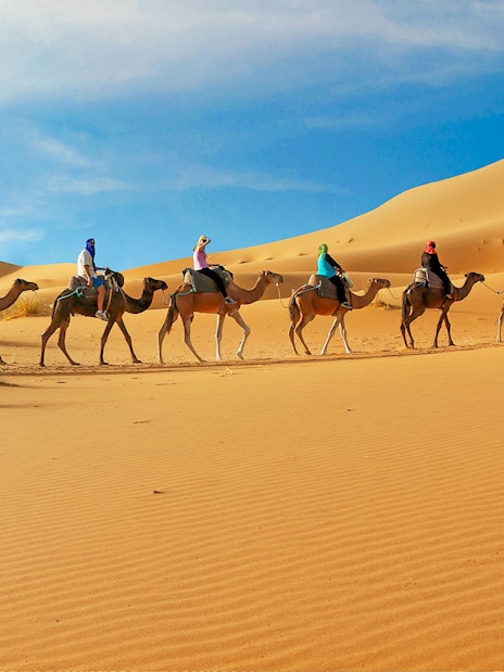 Camel caravan crossing sand dunes in Dubai desert safari.