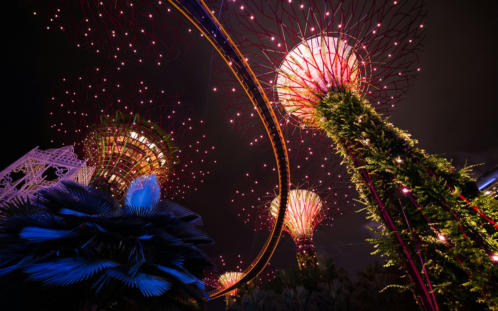 Gardens by the Bay Light Show