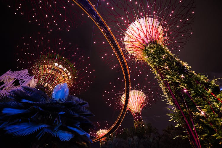Gardens by the Bay Light Show with illuminated Supertree Grove in Singapore.