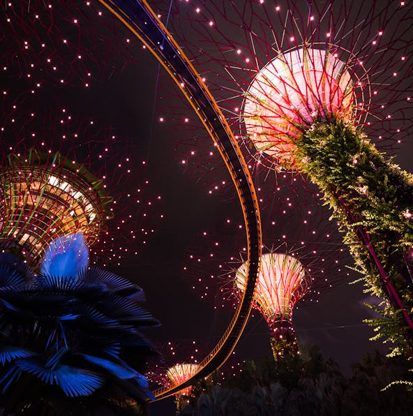 Experience lights & music come together at the Gardens by the Bay Light Show!