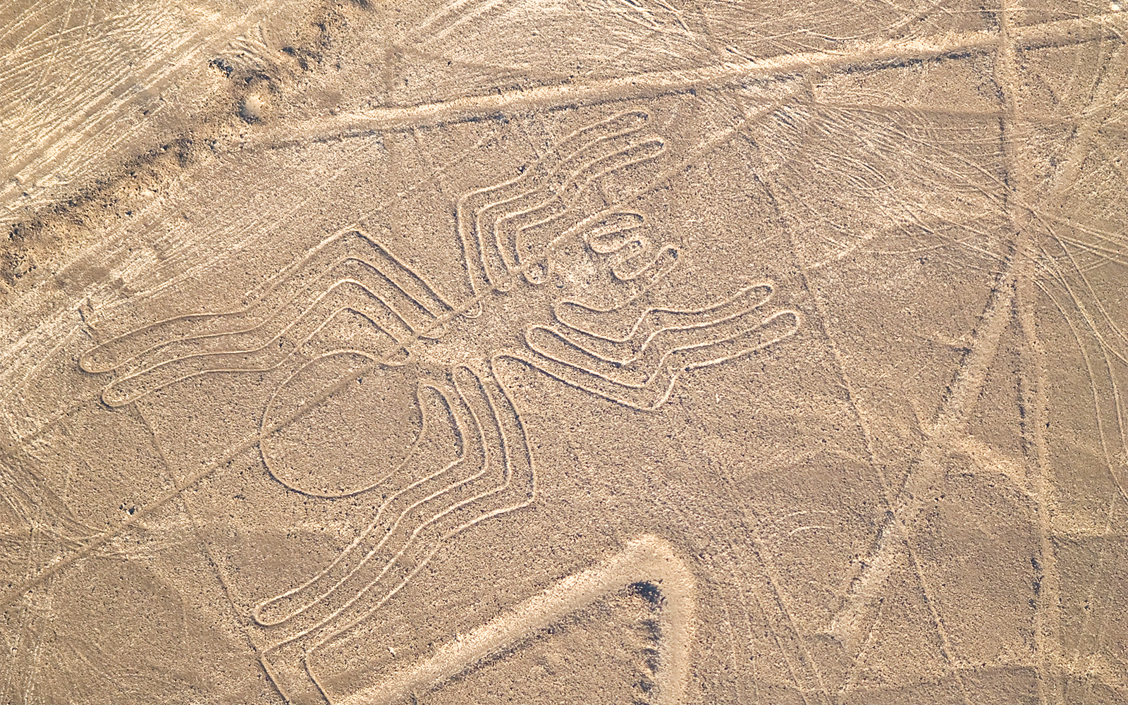 Linee di Nazca