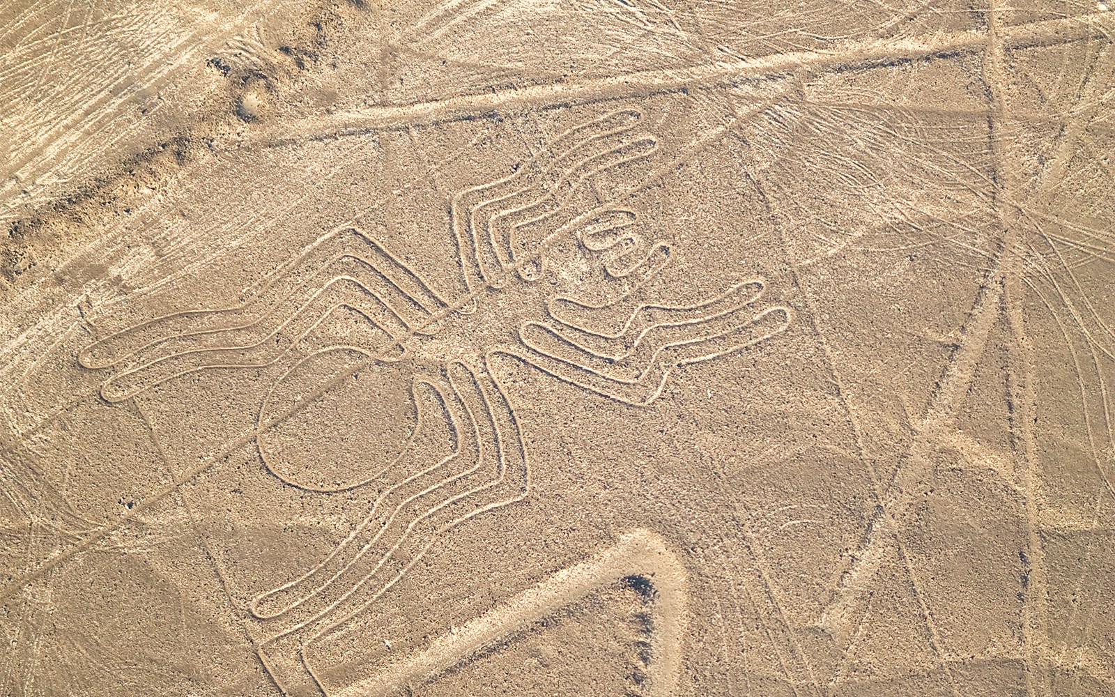 Arial view of the mysterious Nazca Lines in Peru, a unique day trip experience