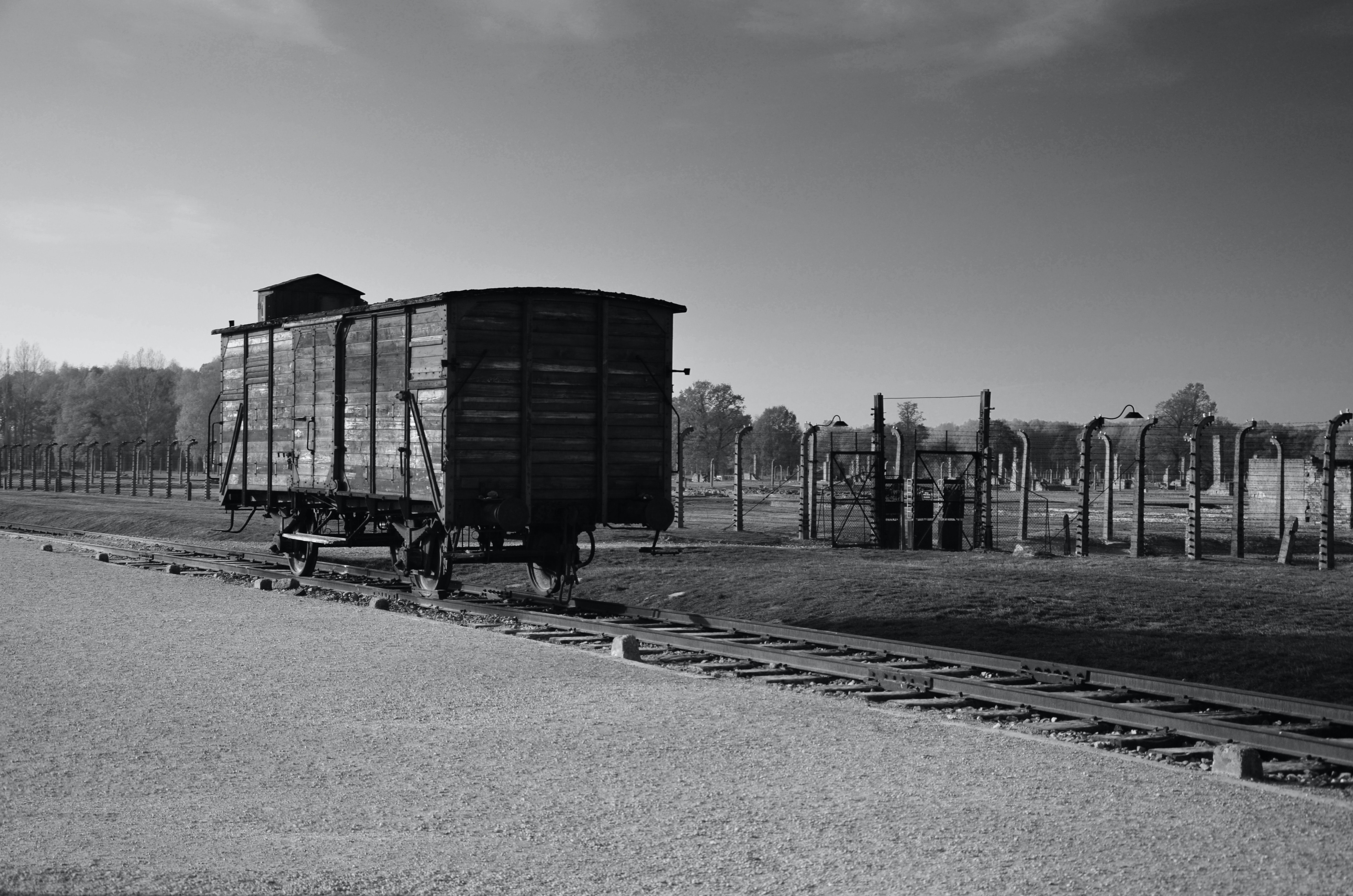 Auschwitz Facts Transport
