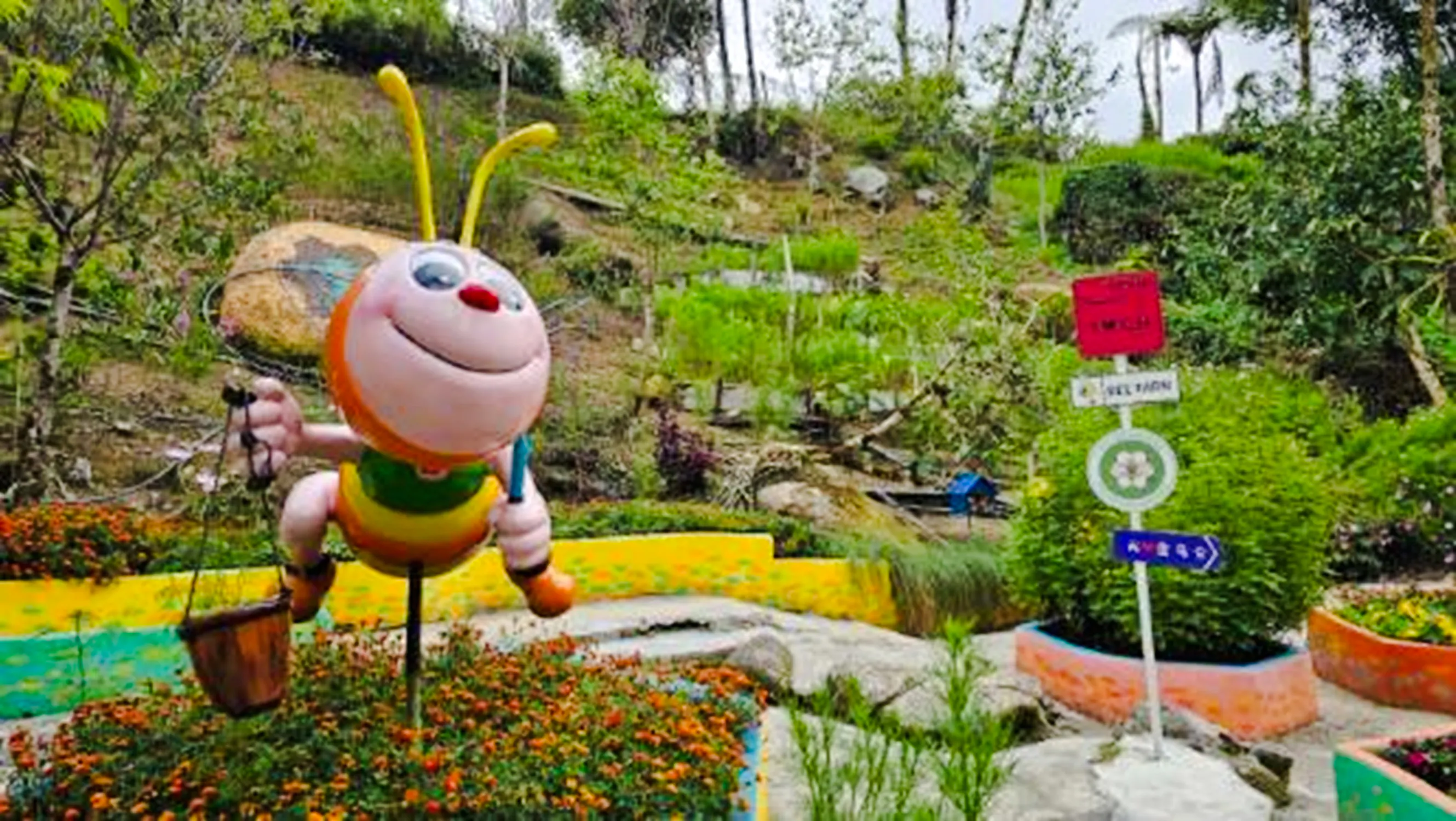 from kuala lumpur: private cameron highlands tour-7
