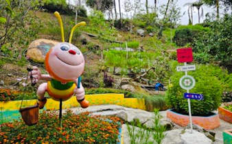 from kuala lumpur: private cameron highlands tour-7