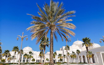 ab dubai: kulturelle tour durch abu dhabi mit besuch der scheich-zayid-moschee und des souks-4