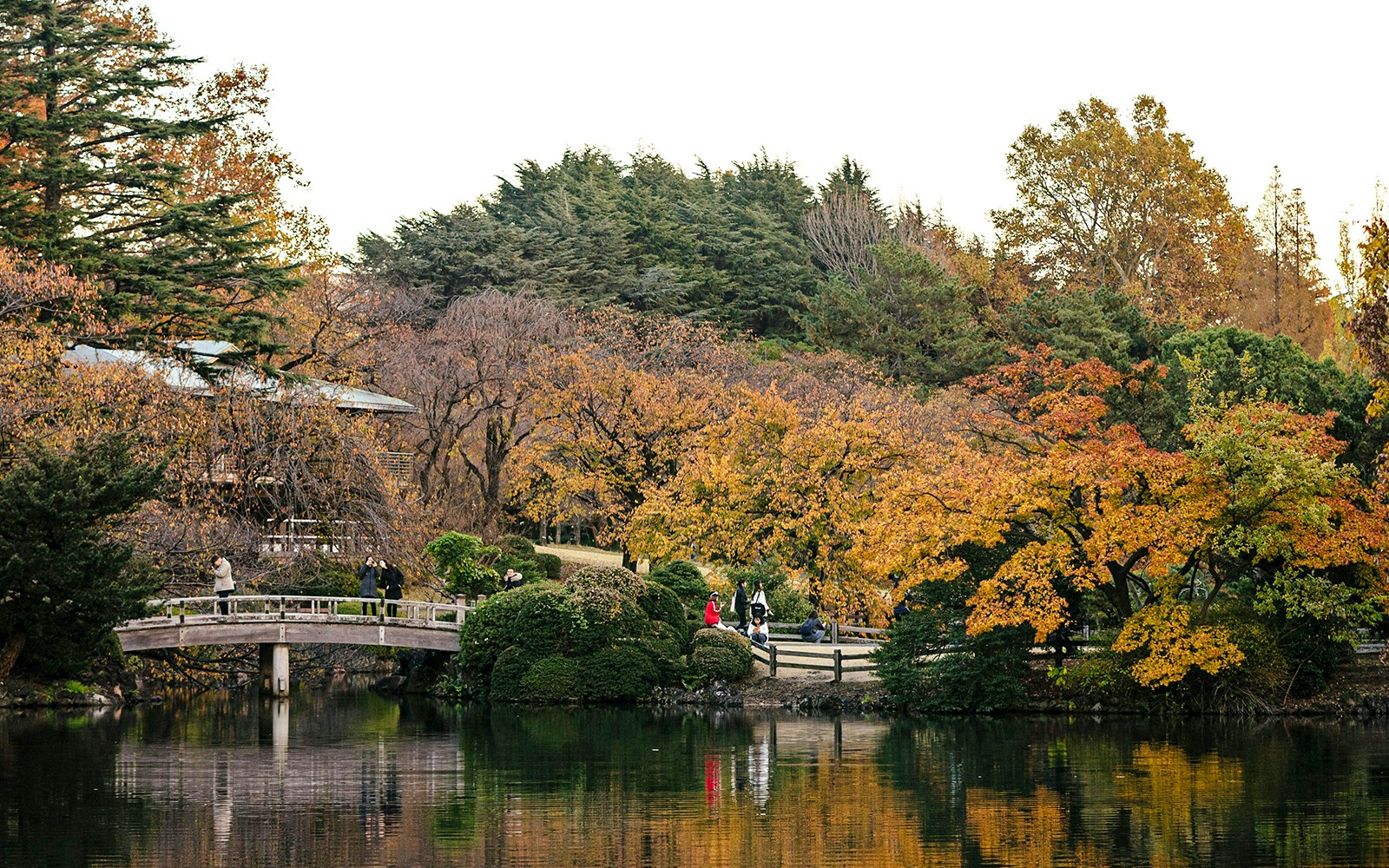 Ein japanischer Garten im Herbst mit bunten Bäumen, einer Holzbrücke und einem ruhigen Teich