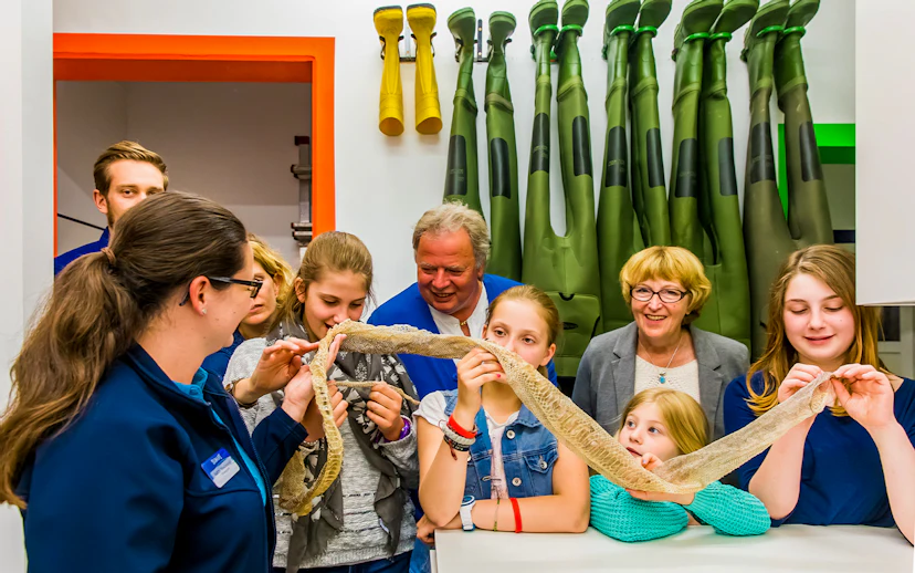 Kids exploring snake skin on SEA LIFE London Behind the Scenes Tour.