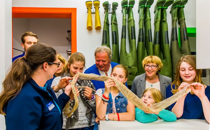 Kids exploring snake skin on SEA LIFE London Behind the Scenes Tour.