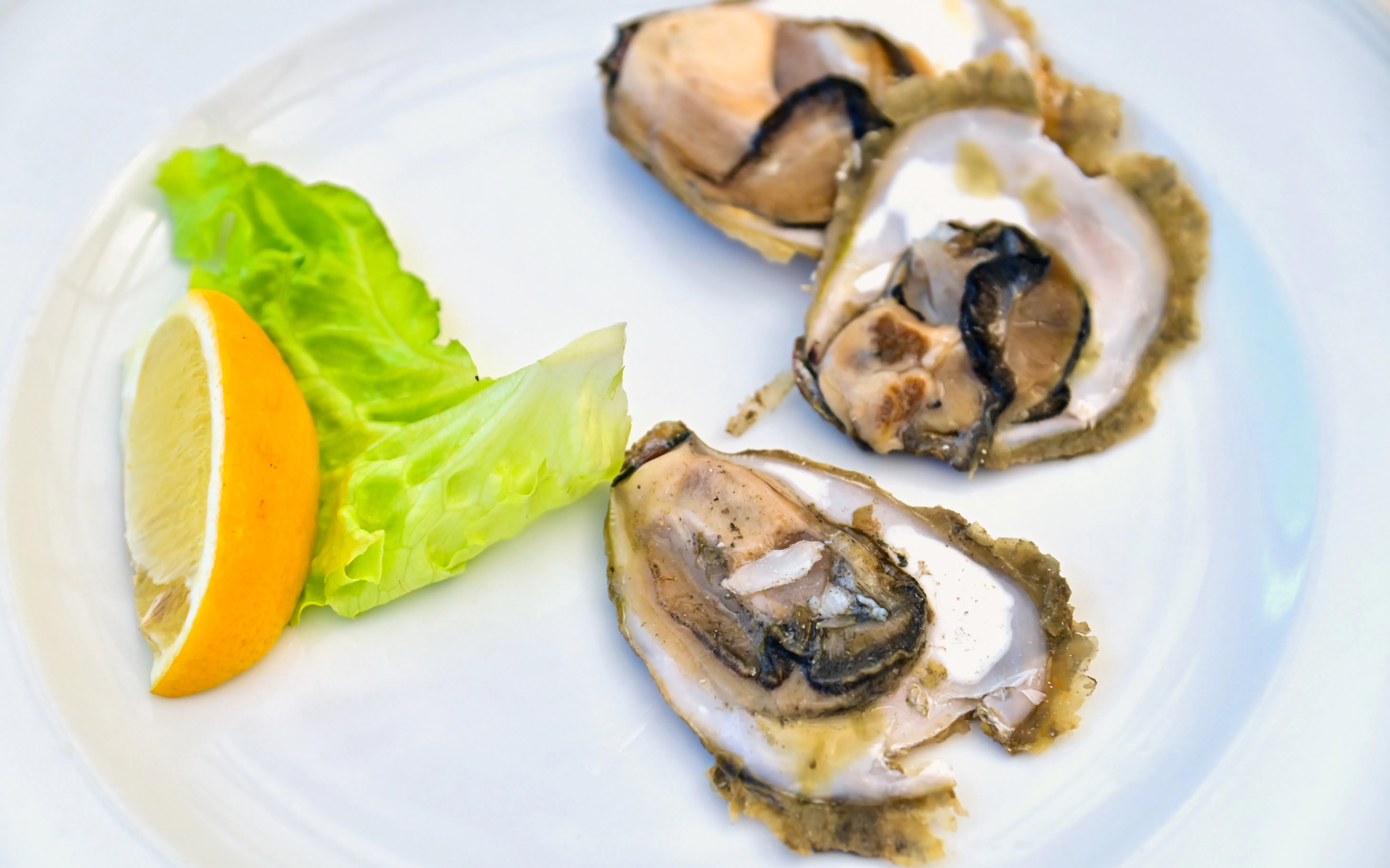 Mali Ston oysters with lemon and lettuce on a plate, Dalmatian dish in Croatia.