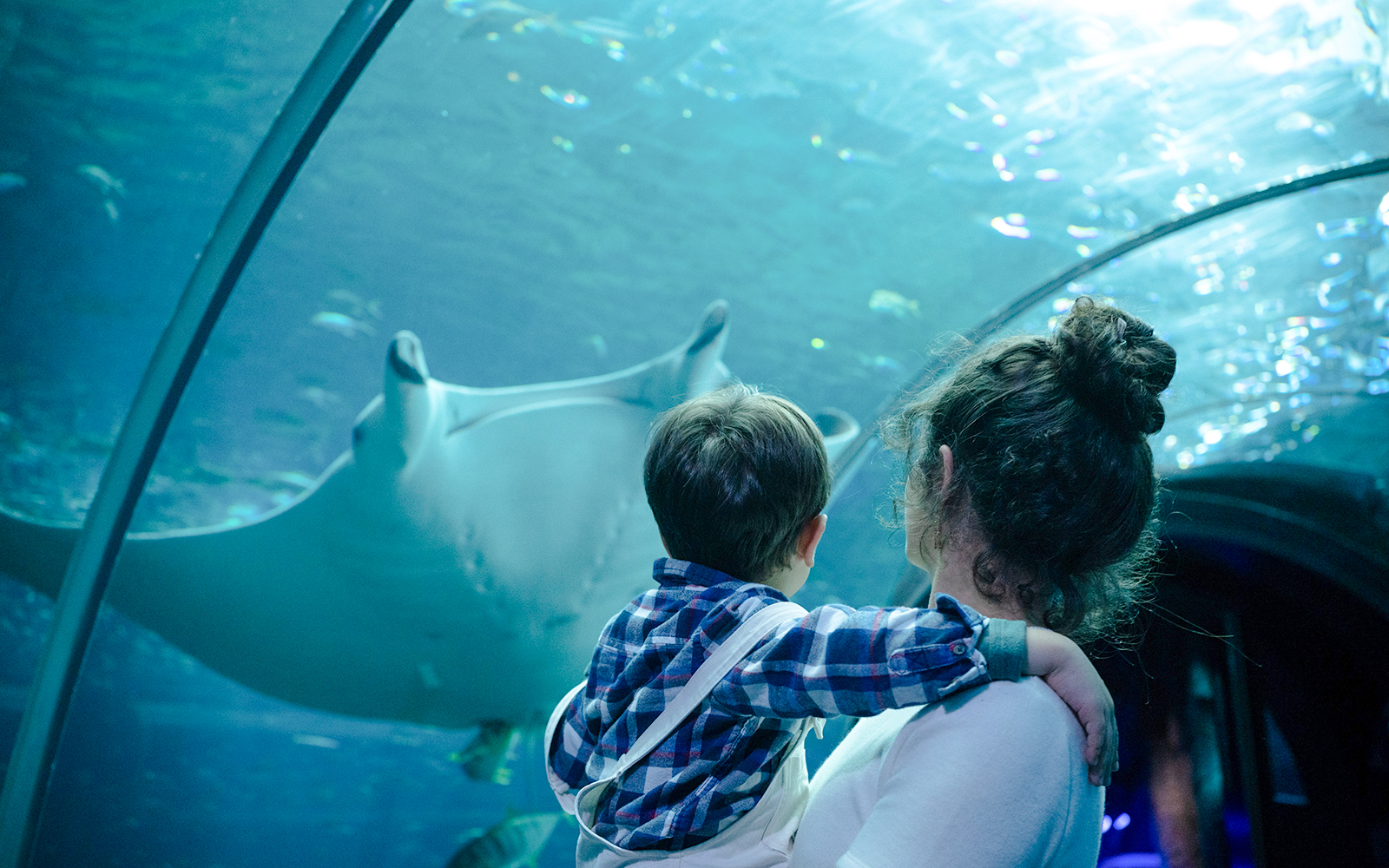 Mother and child observing a manta ray at Nausicaá aquarium.