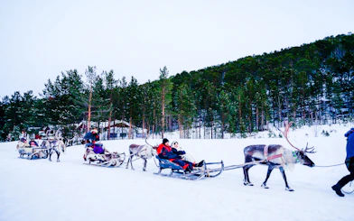 From Tromsø: Reindeer Sledding and Sami Culture Tour with Lunch and Hot Drinks