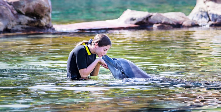Person interacting with a dolphin in an aquarium pool.