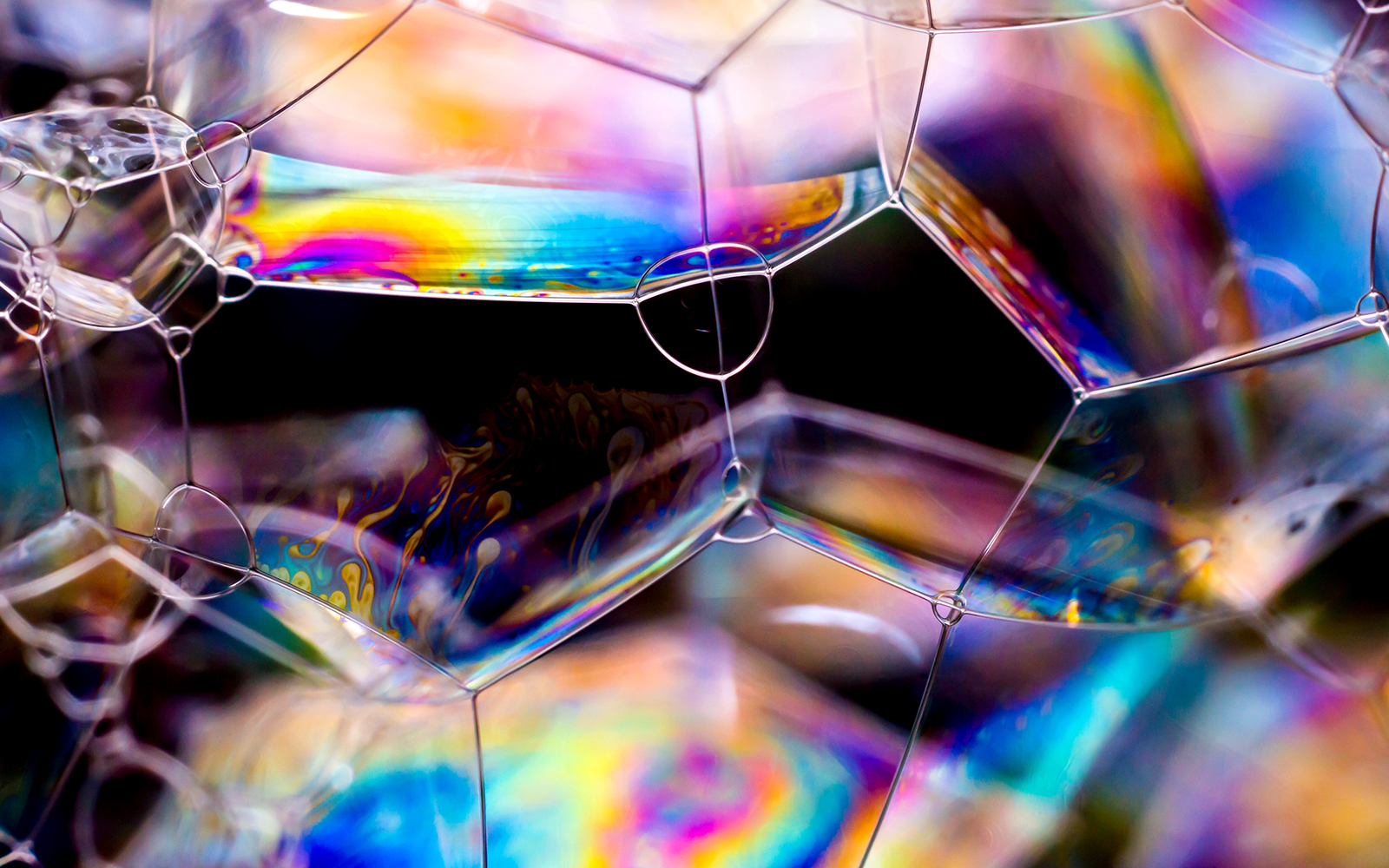 Exploratorium Tickets