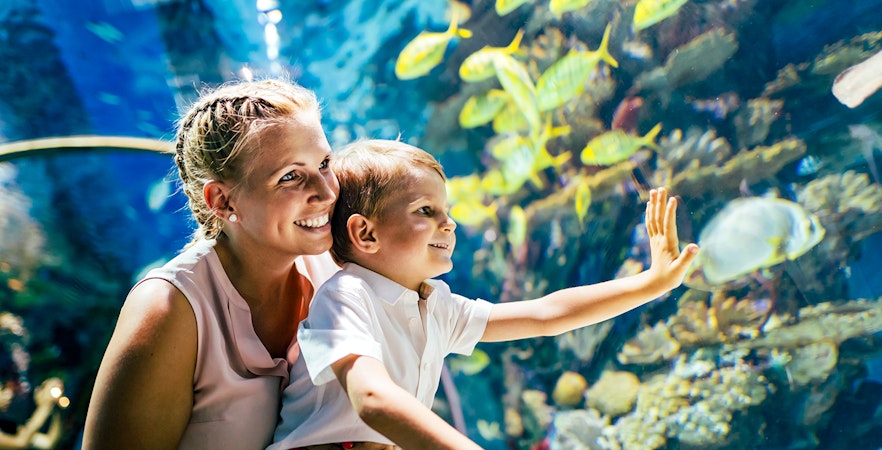 Istanbul Emaar Aquarium
