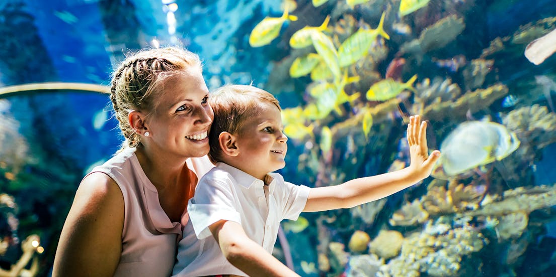 Istanbul Emaar Aquarium