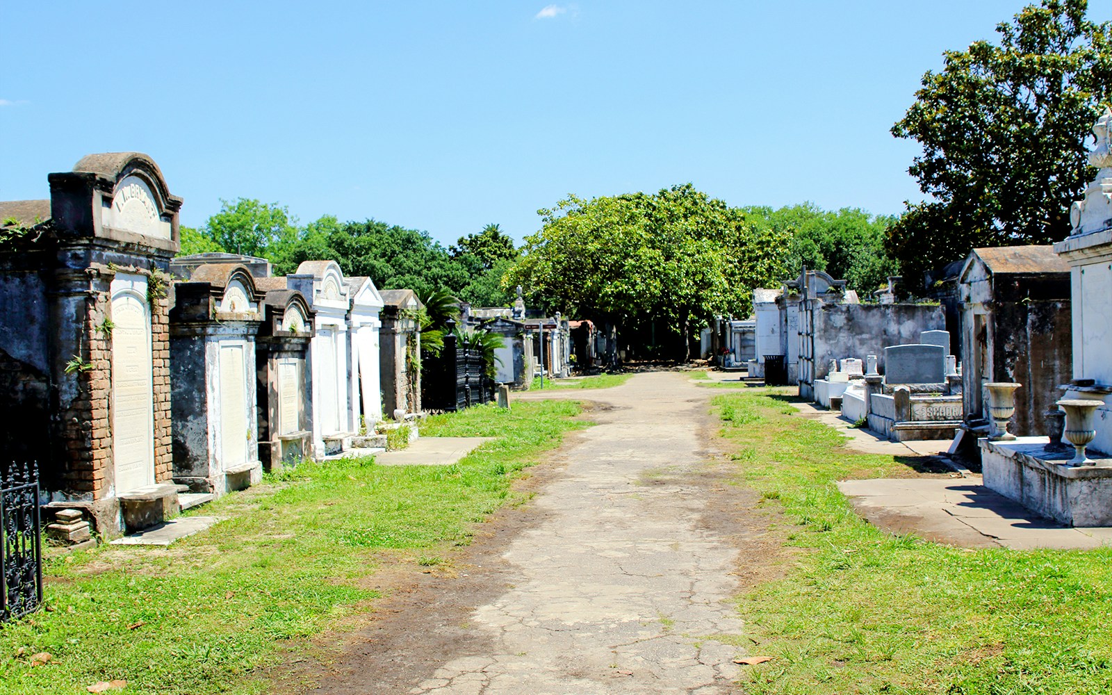 Above-ground tombs in a New Orleans cemetery, Louisiana, with a tree-lined path.