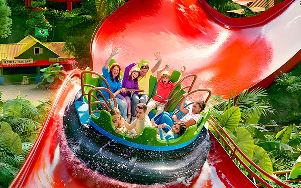 Roller coaster at Bellewaerde Park, Belgium, with lush greenery and excited riders.