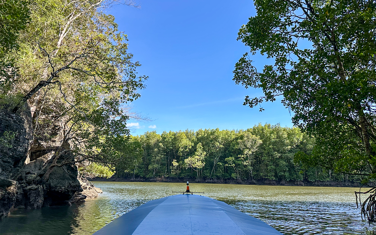 Boat navigating mangrove river in Langkawi tour.