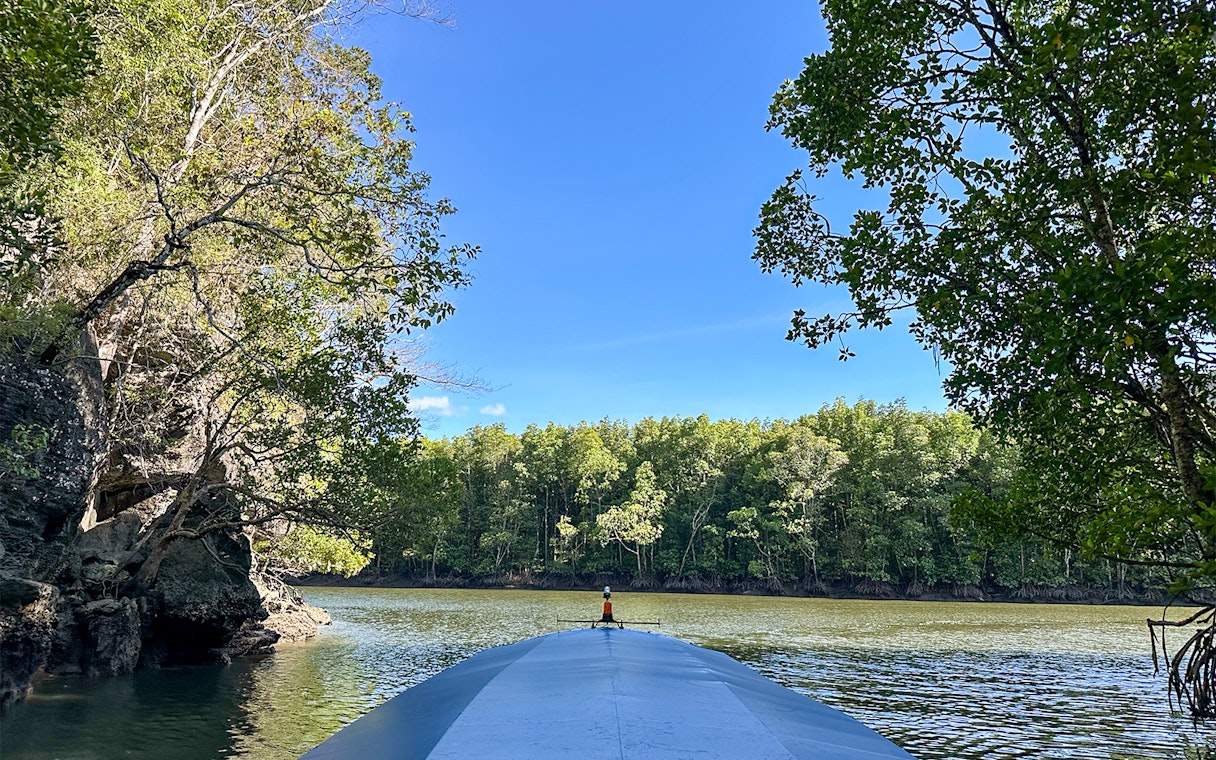 Boat navigating mangrove river in Langkawi tour.