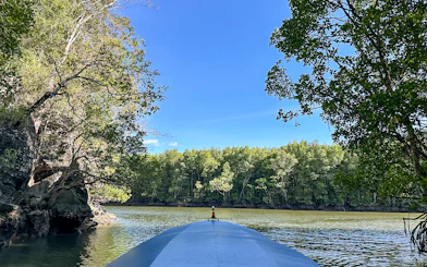 Boat navigating mangrove river in Langkawi tour.