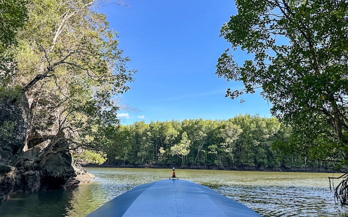 Boat navigating mangrove river in Langkawi tour.