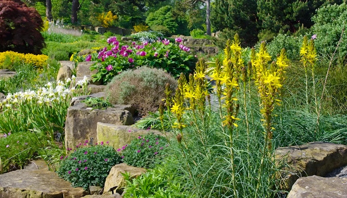 Jardins botaniques royaux de Kew