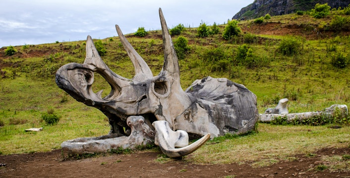 Kualoa Ranch Jurassic Park Tours | Filming Locations & More
