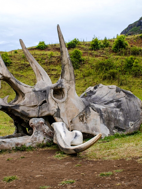 Dinosaur skull replica at Kualoa Ranch, Hawaii, part of the Jurassic Adventure Tour.
