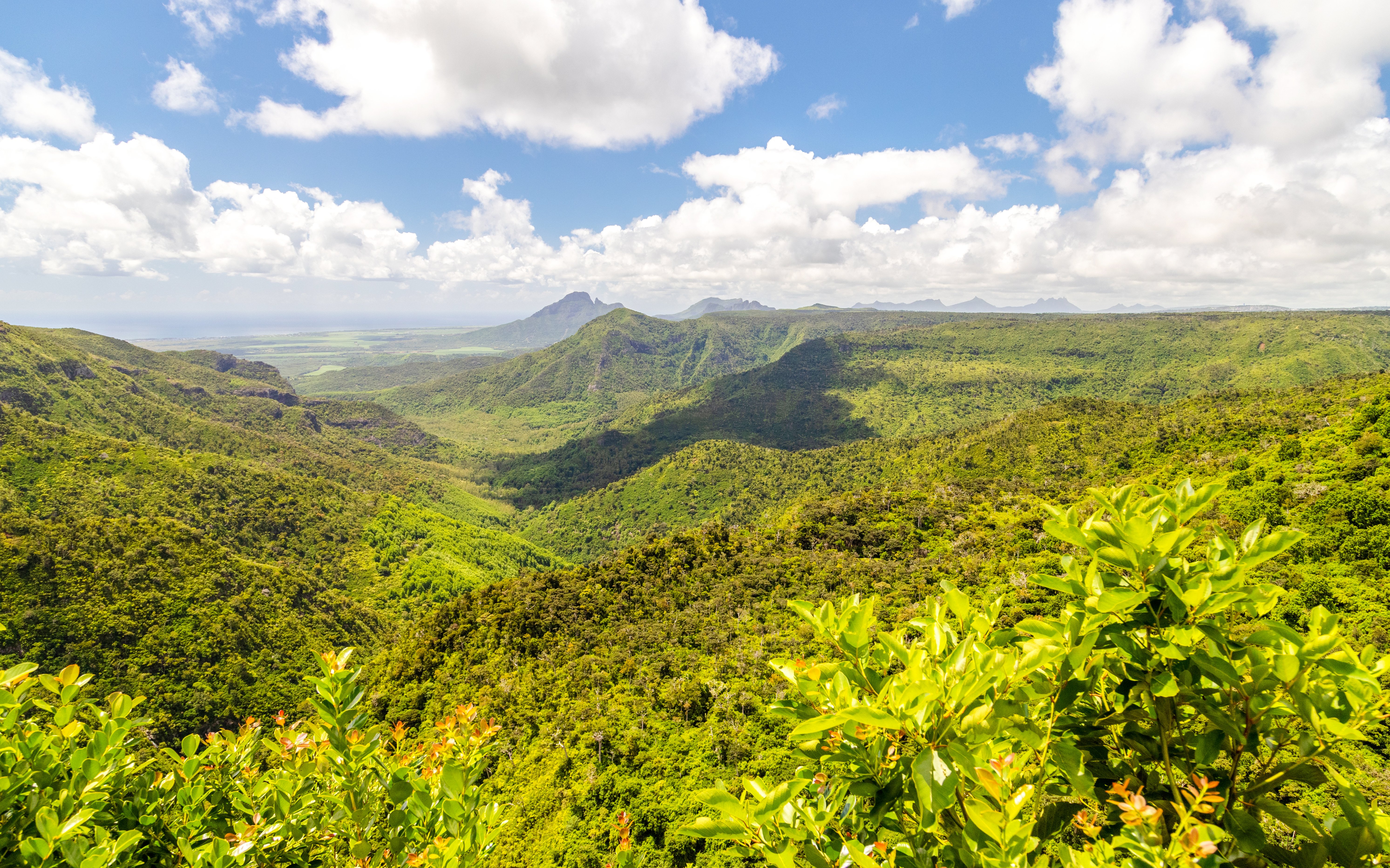 Panoramic view of lush green landscape near Chamarel, Mauritius, with distant mountains.
