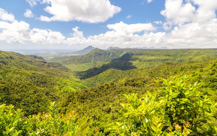 Panoramic view of lush green landscape near Chamarel, Mauritius, with distant mountains.