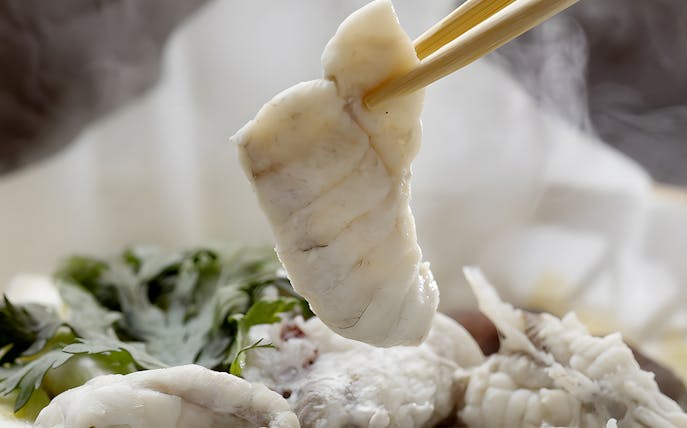 Chopsticks holding a piece of tiger puffer fish at Torafugu-tei Ginza Store.