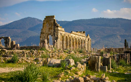 From Fes: Day Trip to Volubilis, Moulay Idriss & Meknes
