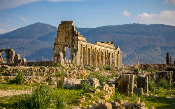 From Fes: Day Trip to Volubilis, Moulay Idriss & Meknes