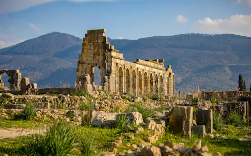 Volubilis Roman ruins with arches and columns in Fes, Morocco, against a mountain backdrop.