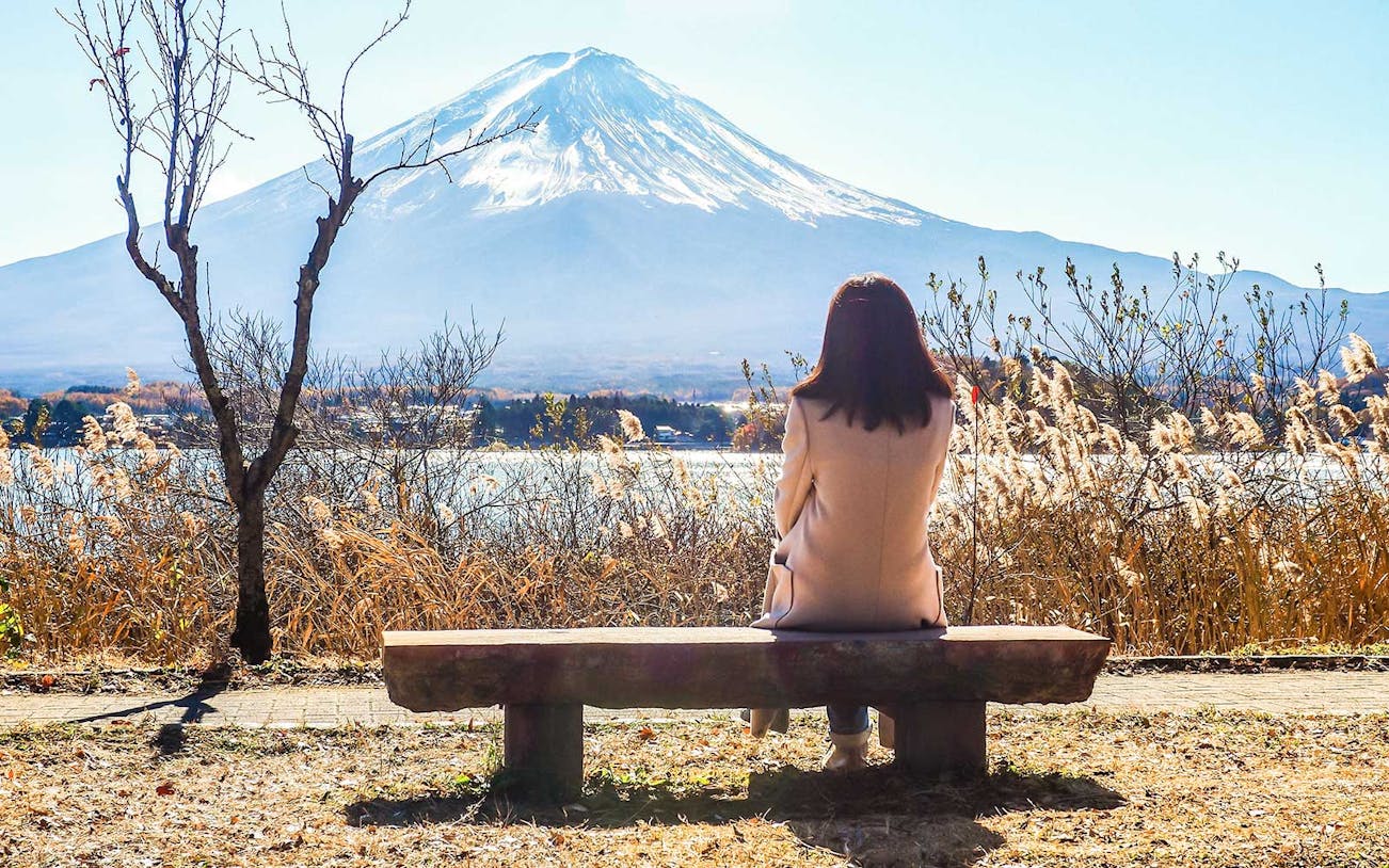 Person sitting on a bench overlooking Mt. Fuji and Lake Kawaguchiko.