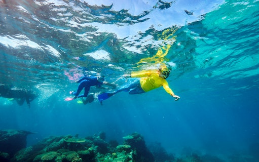 Snorkelers exploring coral reef during Green Island Reef Catamaran Cruise, Cairns, Australia.