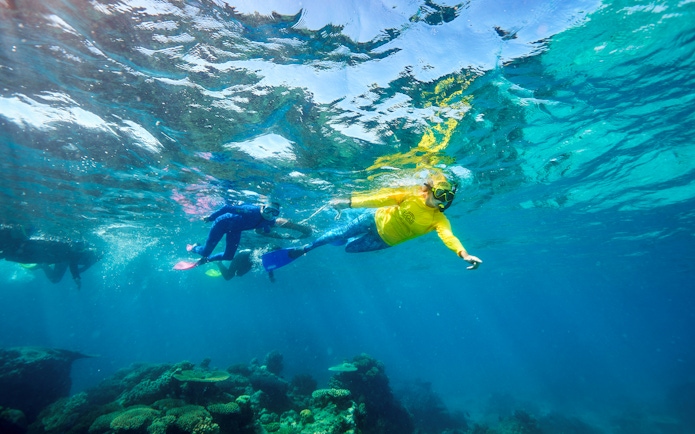 Snorkelers exploring coral reef during Green Island Reef Catamaran Cruise, Cairns, Australia.
