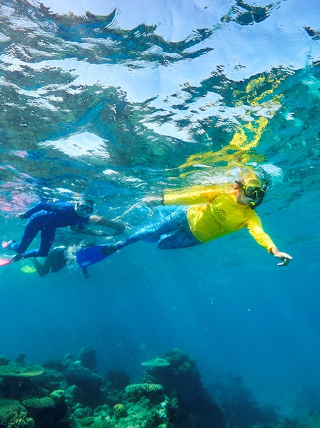 Snorkelers exploring coral reef during Green Island Reef Catamaran Cruise, Cairns, Australia.