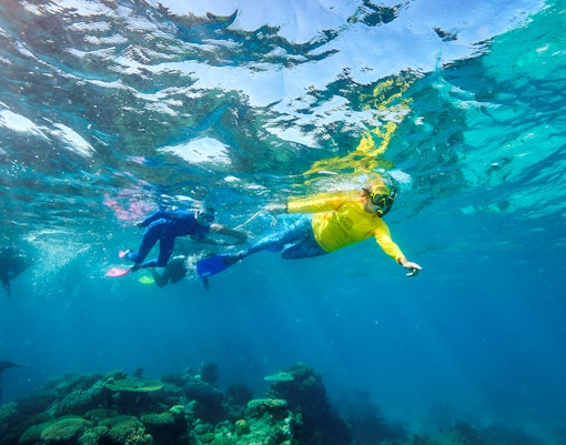 Snorkelers exploring coral reef during Green Island Reef Catamaran Cruise, Cairns, Australia.