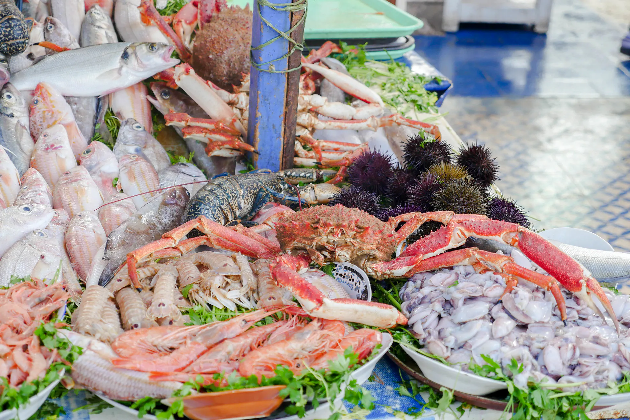 Essaouira Guided Walking Tour: Skala du Port, Medina Ramparts and Fish Market Image 9