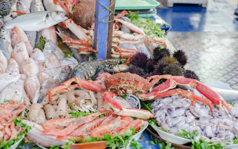 essaouira guided walking tour: skala du port, medina ramparts and fish market-9