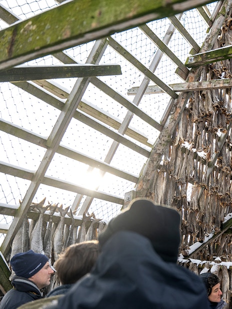 Dried fish hanging in a wooden rack with tourists observing during Arctic Fjord Cruise in Tromso.