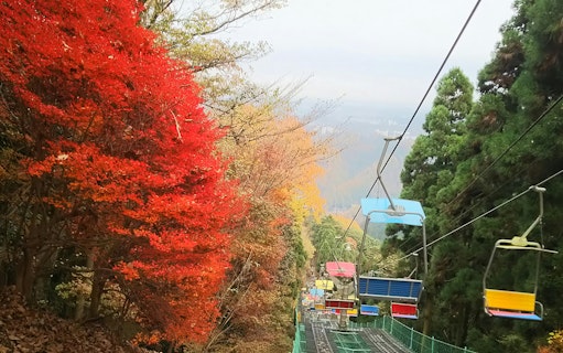 Mt. Takao cable car ascending through autumn foliage in Japan.